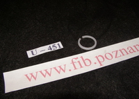 USZCZELKA CIERNA ŚMIGŁA